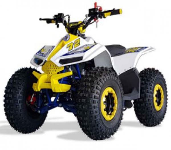 Mini ATV 110cc